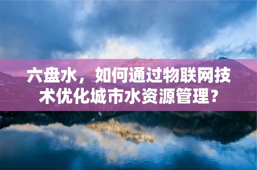 六盘水，如何通过物联网技术优化城市水资源管理？