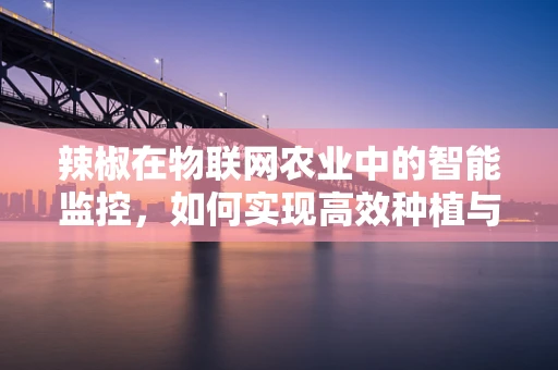 辣椒在物联网农业中的智能监控，如何实现高效种植与质量监控？