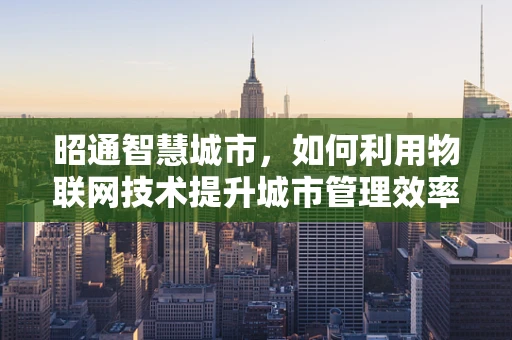 昭通智慧城市，如何利用物联网技术提升城市管理效率？