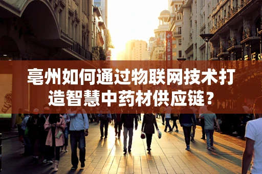 亳州如何通过物联网技术打造智慧中药材供应链？