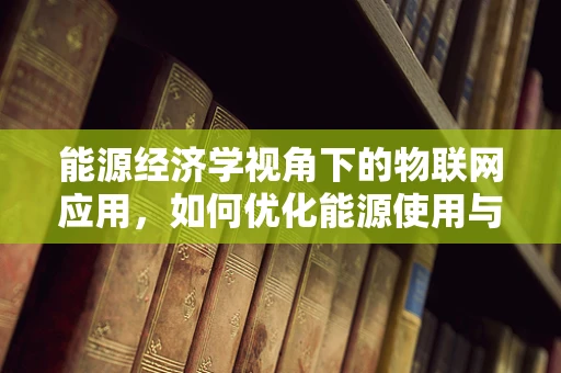 能源经济学视角下的物联网应用，如何优化能源使用与降低成本？
