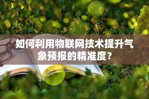 如何利用物联网技术提升气象预报的精准度？