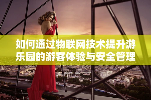 如何通过物联网技术提升游乐园的游客体验与安全管理？