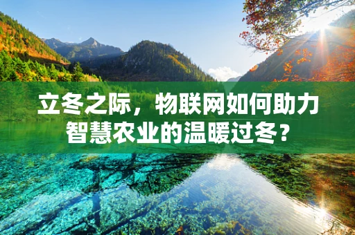 立冬之际，物联网如何助力智慧农业的温暖过冬？