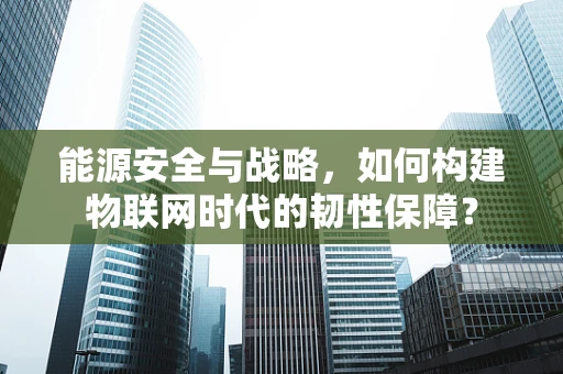能源安全与战略，如何构建物联网时代的韧性保障？