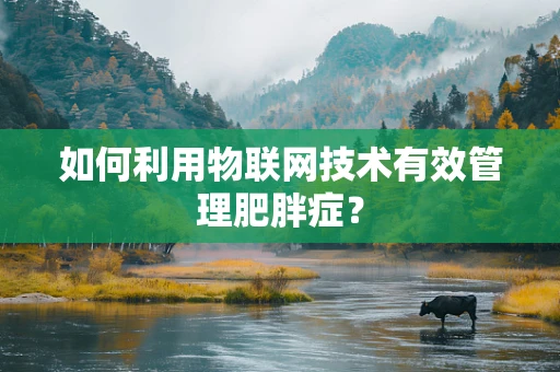 如何利用物联网技术有效管理肥胖症？