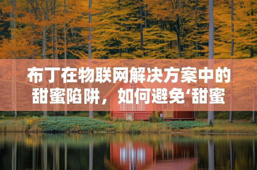 布丁在物联网解决方案中的甜蜜陷阱，如何避免‘甜蜜’的负担？