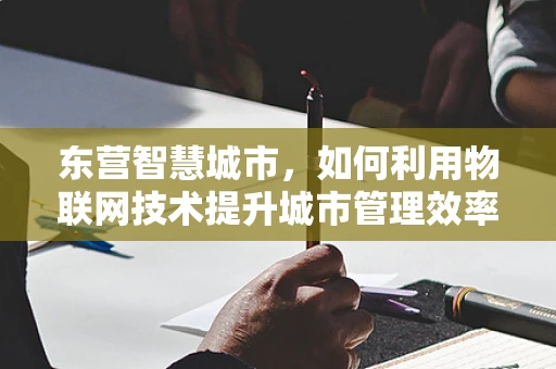 东营智慧城市，如何利用物联网技术提升城市管理效率？