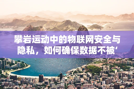 攀岩运动中的物联网安全与隐私，如何确保数据不被‘岩壁’泄露？
