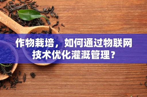 作物栽培，如何通过物联网技术优化灌溉管理？