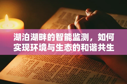 湖泊湖畔的智能监测，如何实现环境与生态的和谐共生？