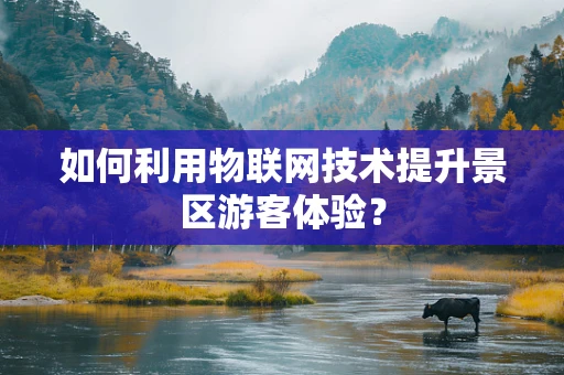 如何利用物联网技术提升景区游客体验？