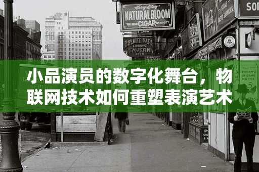 小品演员的数字化舞台，物联网技术如何重塑表演艺术？