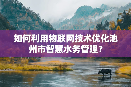 如何利用物联网技术优化池州市智慧水务管理？
