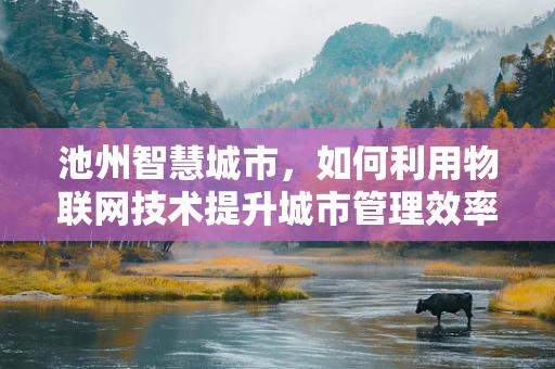 池州智慧城市，如何利用物联网技术提升城市管理效率？