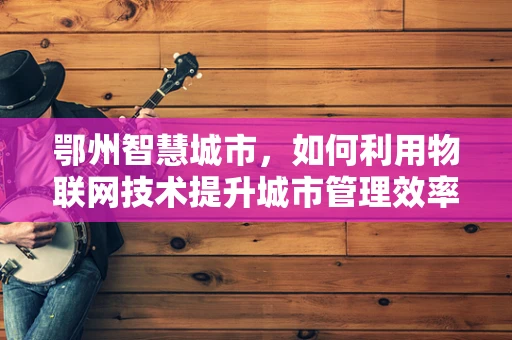 鄂州智慧城市，如何利用物联网技术提升城市管理效率？