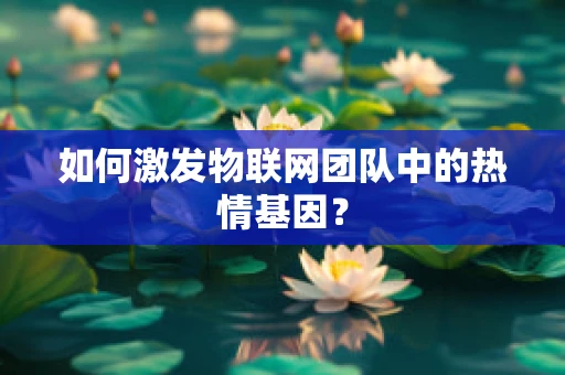 如何激发物联网团队中的热情基因？