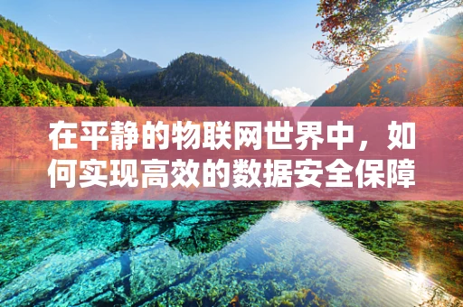 在平静的物联网世界中，如何实现高效的数据安全保障？