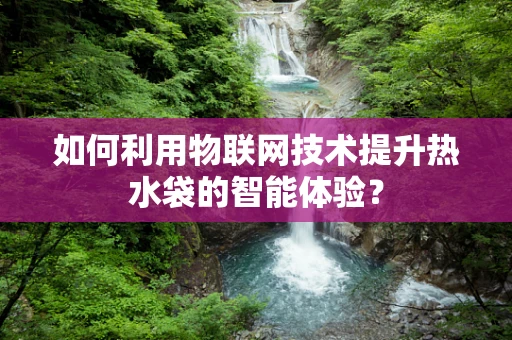 如何利用物联网技术提升热水袋的智能体验？