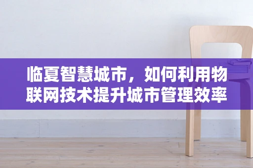 临夏智慧城市，如何利用物联网技术提升城市管理效率？