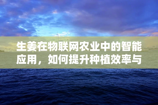 生姜在物联网农业中的智能应用，如何提升种植效率与质量？
