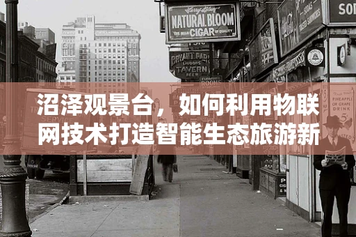 沼泽观景台，如何利用物联网技术打造智能生态旅游新体验？