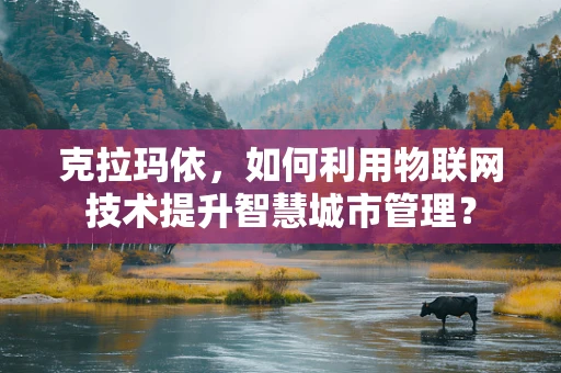 克拉玛依，如何利用物联网技术提升智慧城市管理？