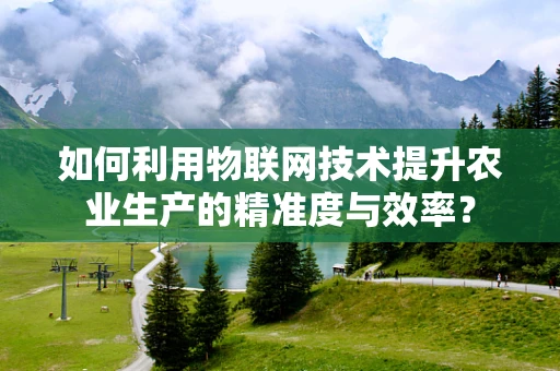 如何利用物联网技术提升农业生产的精准度与效率？