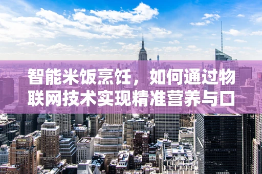 智能米饭烹饪，如何通过物联网技术实现精准营养与口感的双重优化？