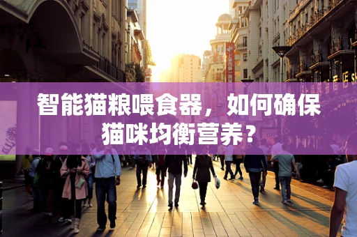 智能猫粮喂食器，如何确保猫咪均衡营养？