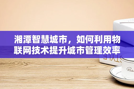 湘潭智慧城市，如何利用物联网技术提升城市管理效率？