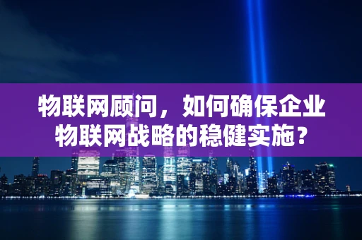 物联网顾问，如何确保企业物联网战略的稳健实施？