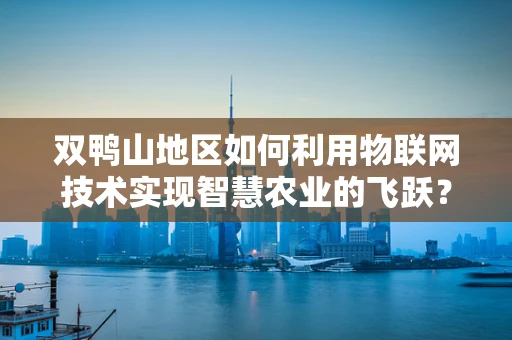 双鸭山地区如何利用物联网技术实现智慧农业的飞跃？