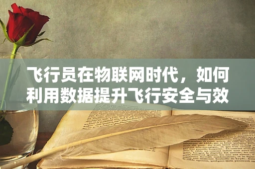 飞行员在物联网时代，如何利用数据提升飞行安全与效率？