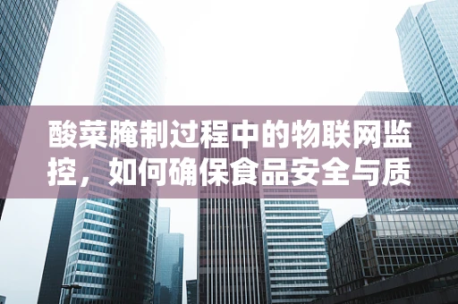 酸菜腌制过程中的物联网监控，如何确保食品安全与质量？