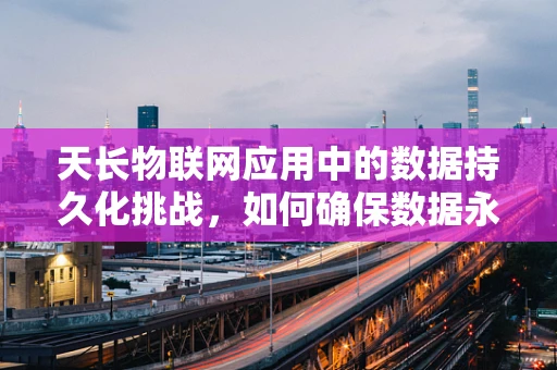 天长物联网应用中的数据持久化挑战，如何确保数据永不失联？