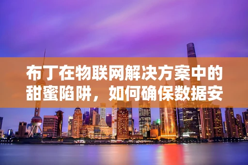 布丁在物联网解决方案中的甜蜜陷阱，如何确保数据安全与隐私？