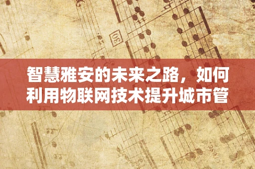 智慧雅安的未来之路，如何利用物联网技术提升城市管理效率？