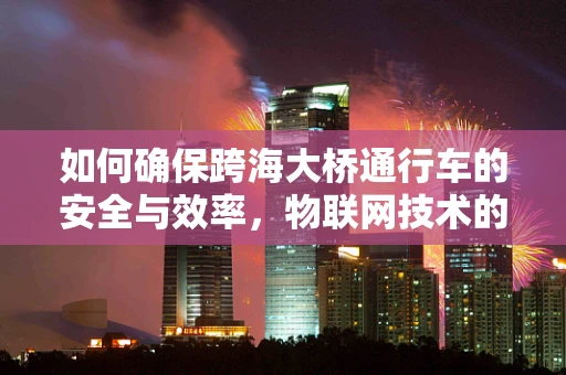 如何确保跨海大桥通行车的安全与效率，物联网技术的挑战与机遇？