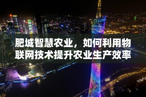 肥城智慧农业，如何利用物联网技术提升农业生产效率？