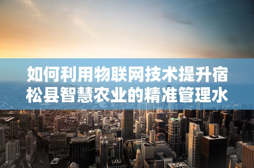 如何利用物联网技术提升宿松县智慧农业的精准管理水平？