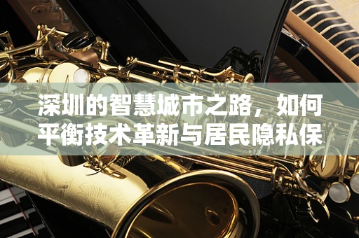 深圳的智慧城市之路，如何平衡技术革新与居民隐私保护？