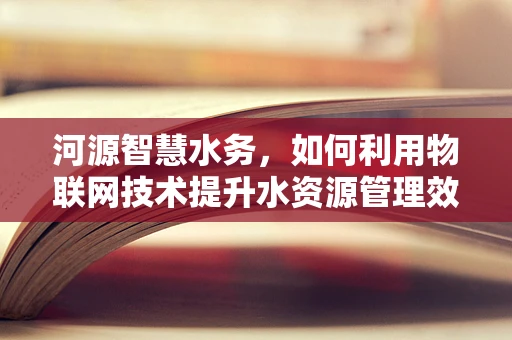 河源智慧水务，如何利用物联网技术提升水资源管理效率？