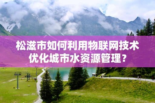 松滋市如何利用物联网技术优化城市水资源管理？
