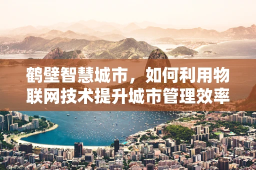 鹤壁智慧城市，如何利用物联网技术提升城市管理效率？