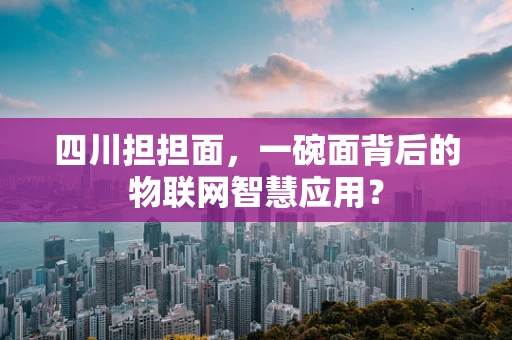 四川担担面，一碗面背后的物联网智慧应用？