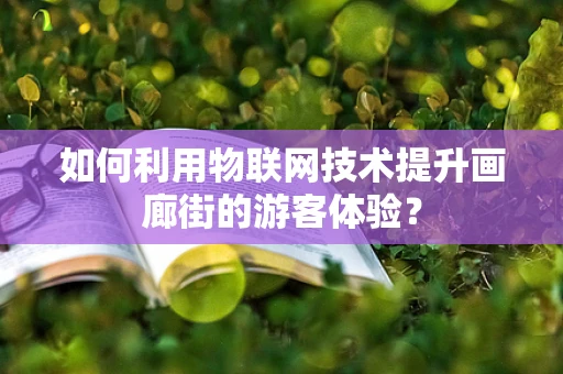 如何利用物联网技术提升画廊街的游客体验？