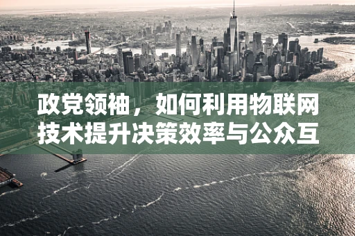 政党领袖，如何利用物联网技术提升决策效率与公众互动？