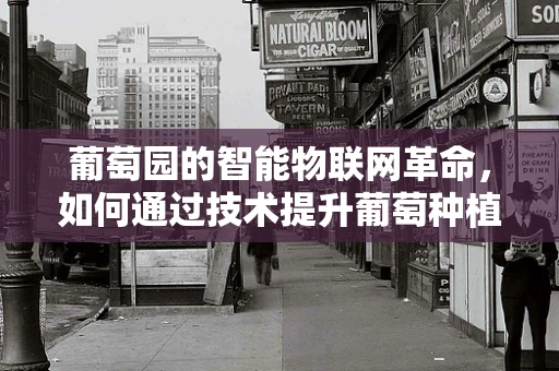 葡萄园的智能物联网革命，如何通过技术提升葡萄种植效率？
