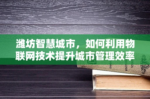 潍坊智慧城市，如何利用物联网技术提升城市管理效率？